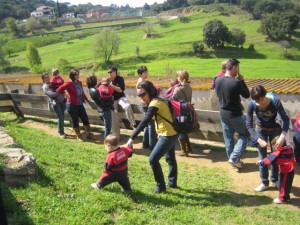 El color verd està per tota reu